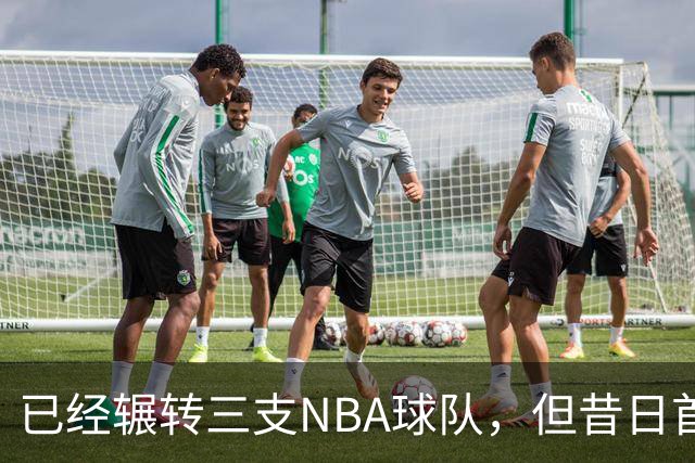 已经辗转三支NBA球队，但昔日首轮秀相信自己能在独行侠取得成功