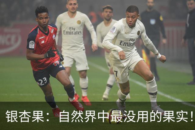 银杏果：自然界中最没用的果实！结果再多也一样沦为保护植物